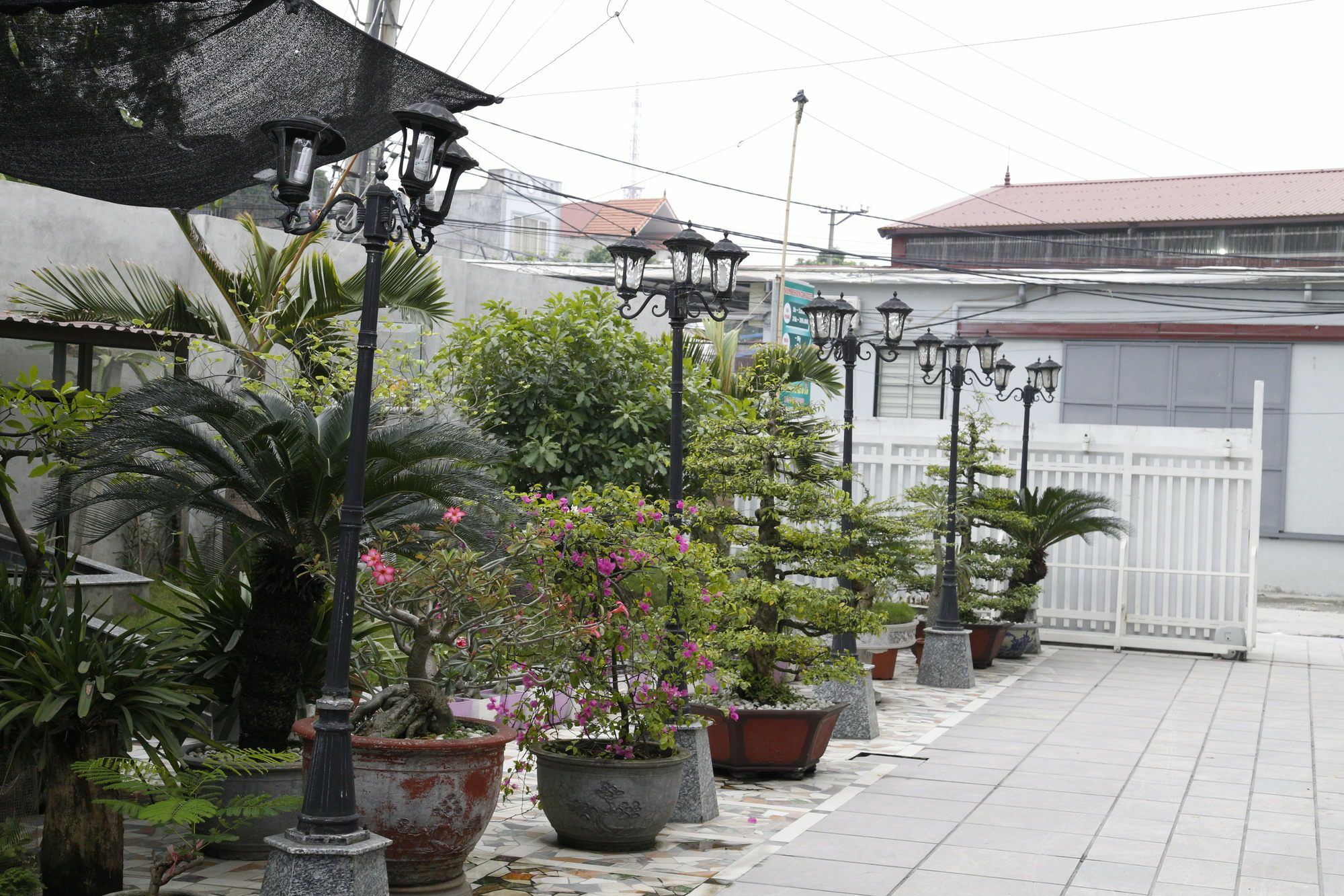 Nam Phong Hotel Hai Phong Exterior foto